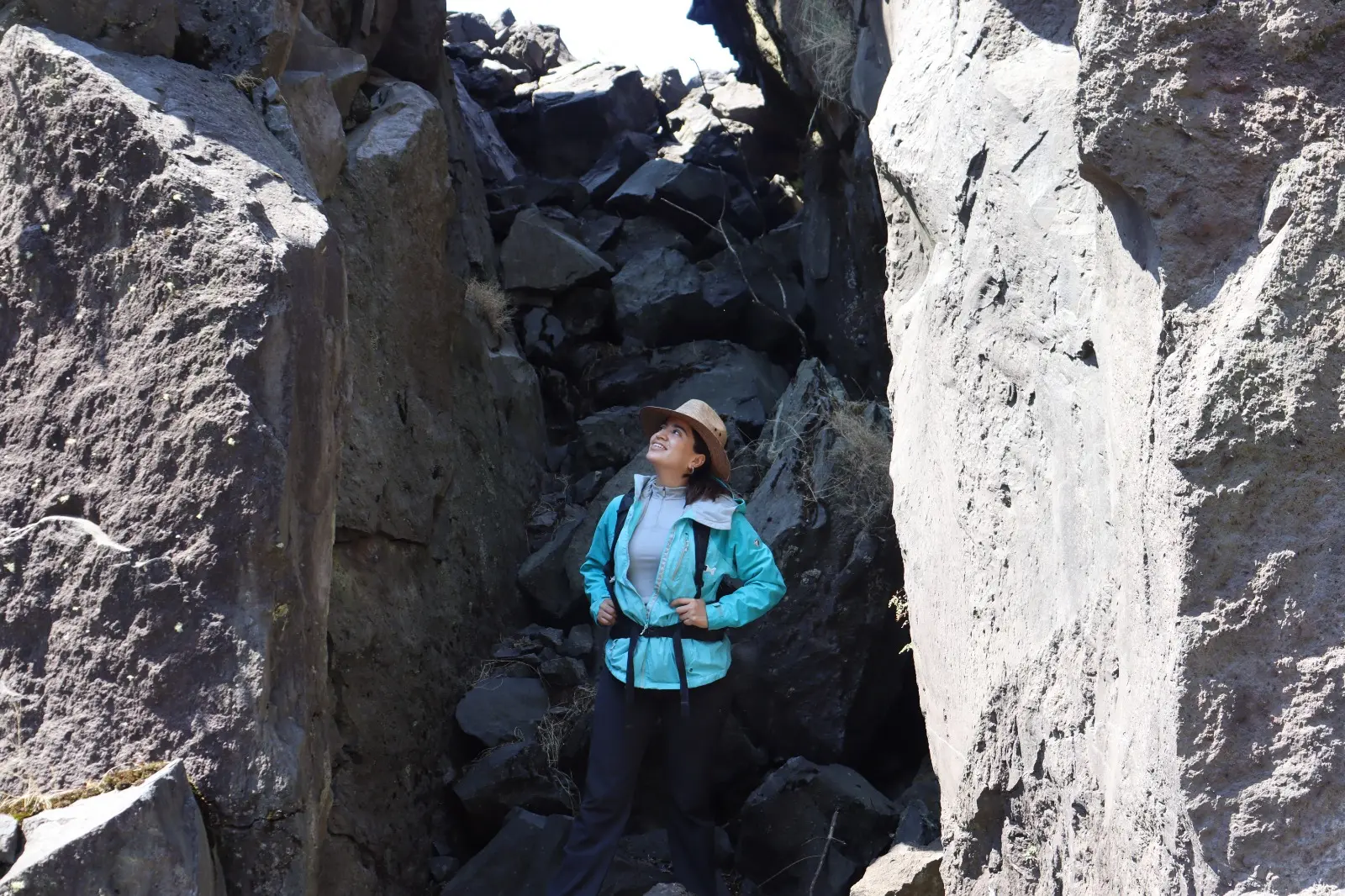Field trip to observe evolutionary ecology on a volcano
