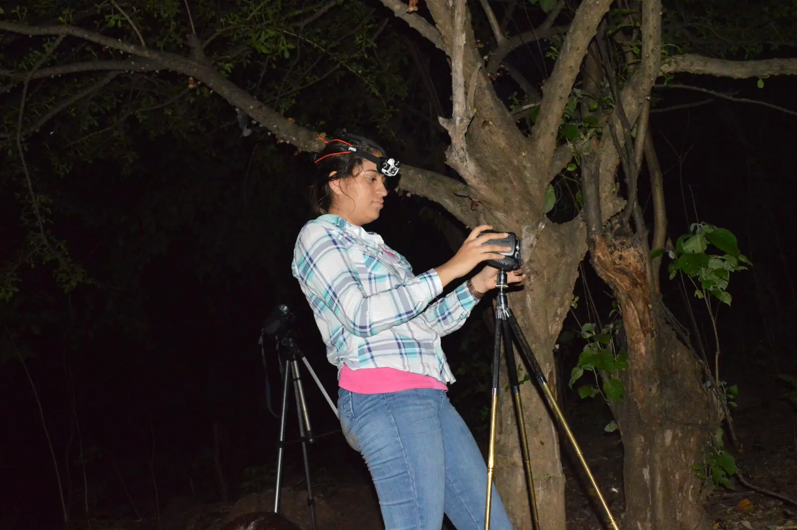 Observation, documentation and monitoring of cirian flower pollinators (Crescentia alata)