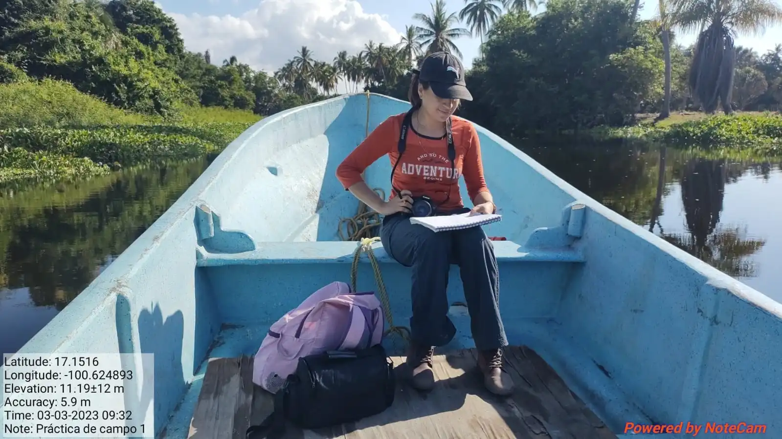 Bird trap preparation for capture and identification